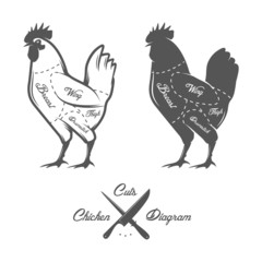 Chicken cuts diagram