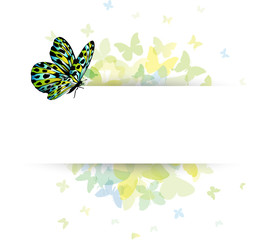 Butterfly Background