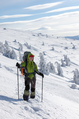 Fototapeta na wymiar Hiker walking in winter Carpathian mountains