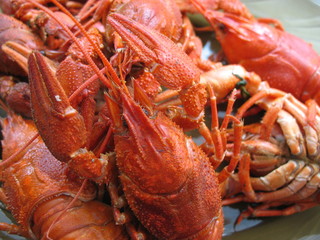 Рак крупным планом