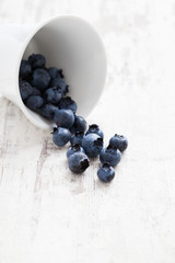 Fresh blueberry fruits
