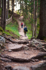Obraz premium Two hikers walking on a mountain trail
