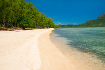 Fototapeta premium Tropical paradise beach