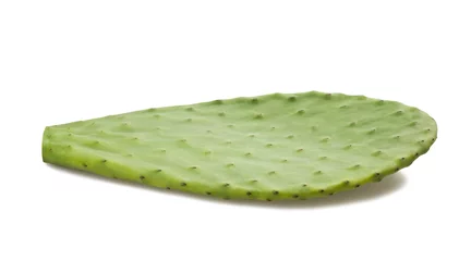 Tableaux ronds sur plexiglas Anti-reflet Cactus cactus leaf