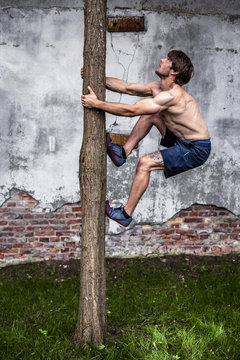 athletic young man climbs a tree in an industrial environment