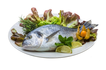 Fresh raw dorada
