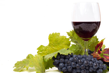  glass of red wine and grape over white