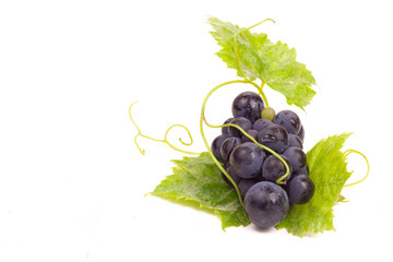 Grapes isolated on white background