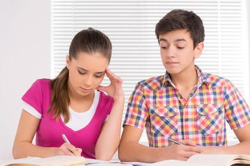 Fototapeta premium Studying together.