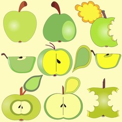 Green apples collection, vector illustration in cartoon style