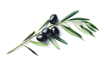 Dekokissen olive branch with olives © MIGUEL GARCIA SAAVED