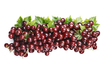 red garpes