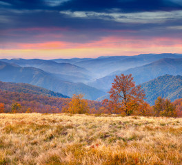 Colorful autumn landscape in the mountains