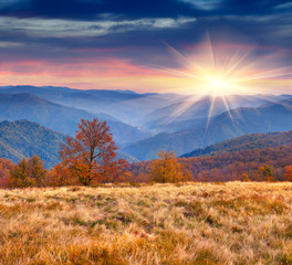 Colorful autumn landscape in the mountains