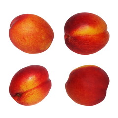 Set nectarine fruit isolated on white background