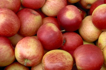 Fototapeta na wymiar red tasty apples
