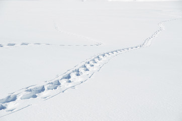 Footsteps on the snow. Melchsee-Frutt, Switzerland