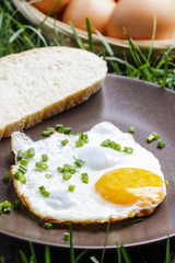 Breakfast on the grass. Fried egg on brown plate