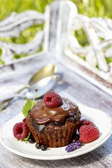 Chocolate cake with fresh fruits on wooden tray in the garden