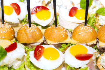 canape with meat seafood and vegetables on a white background