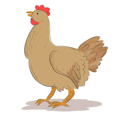 hen