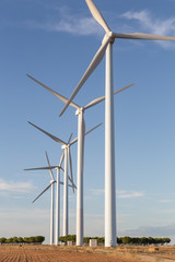 Fototapeta premium aerogeneradores