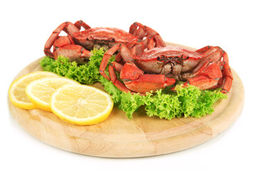 Boiled crabs on wooden board, isolated on white