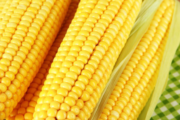 Crude corns on napkin on wooden table