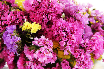 Beautiful summer flowers close-up background