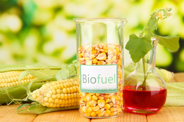 Conceptual photo of bio fuel.  On bright background