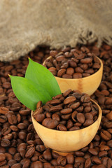 Coffee beans in bowls isolated on white