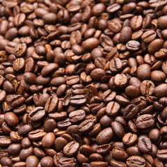 Kaffeebohnen