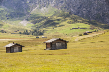 Fototapeta na wymiar Montagna,Dolomiti,Alpe di Siusi,Alto Adige,Italia