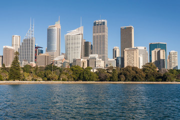 Fototapeta premium Sydney skyline
