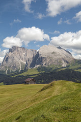 Montagna,Dolomiti,Alpe di Siusi,Alto Adige,Italia