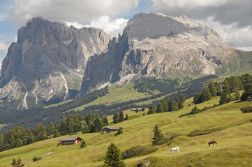Fototapeta na wymiar Góry, Dolomity, Alpe di Siusi, Południowy Tyrol, Włochy