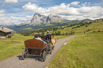 Montagna,Dolomiti,Alpe di Siusi,Alto Adige,Italia