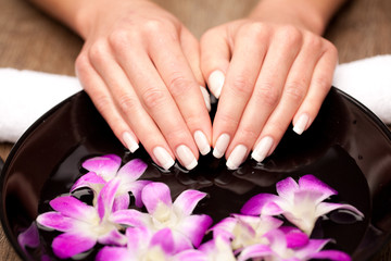 Fototapeta premium Aromatherapy concept