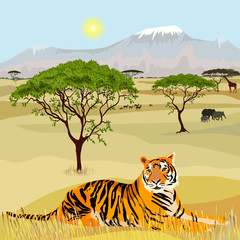 Fototapeta premium African Mountain idealistic landscape with tiger
