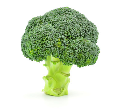 Isolated Broccoli