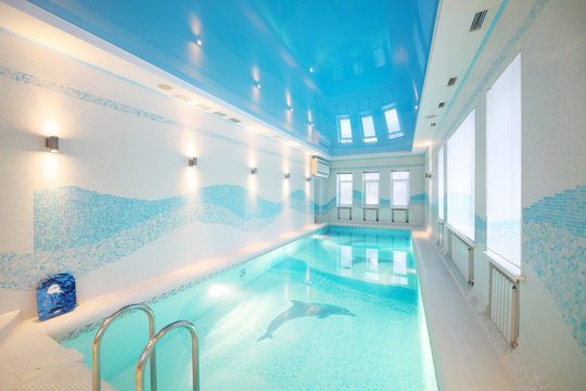 Indoor pool with images of dolphins at bottom and clear water