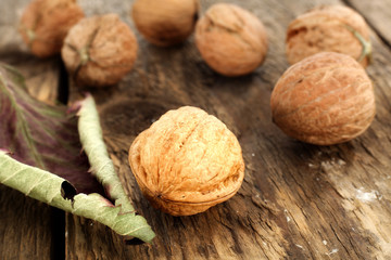 walnuts