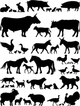Farm animals vector silhouettes collection