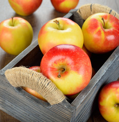 apples