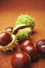 Groups of chestnut nuts on white close up . brown background