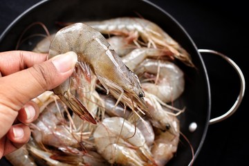 Fresh Shrimp.