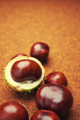 Groups of chestnut nuts on white close up . brown background