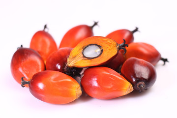 Oil palm fruit