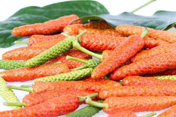 Piper retrofractum  Vahl, long peper