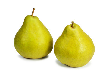 european pear